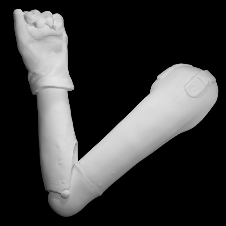 anatomik protez taramak 3D print model - Mito3D