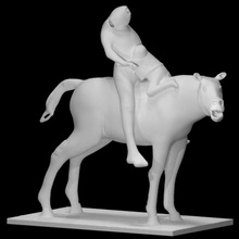 cavalo cavaleiro Varredura animal 3d print model - Mito3D