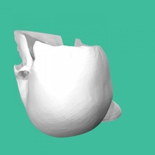 cranio caramella secchio giardino tinkercad 3d print model - Mito3D