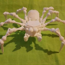 aranha caveira brinquedos jogos 3d print model - Mito3D