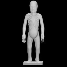 acupuntura figura escanear japonés modelo cuerpo completo 3d print model - Mito3D