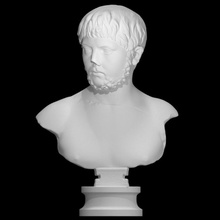 bust young man scan portrait manbust 3d print model - Mito3D