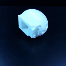dylan's illuminated skull & garden tinkercad trickortreat3d 3d print model - Mito3D