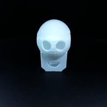 aaina skull competition & garden tinkercad 3d print model - Mito3D