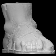 giant marble foot scan halfbody 3d print model - Mito3D