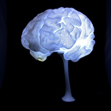 radiante cérebro mri jardim luminária 3d print model - Mito3D