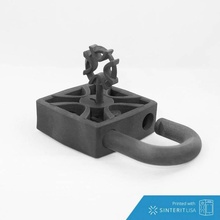 vintage padlock & garden lock mechanical sls 3d print model - Mito3D