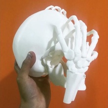 fusion or crâne sculpter noir voile saison 4 ventilateur art Halloween sculpture décoration 3d print model - Mito3D