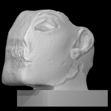 brown quartzite inlay head akhenaten nefertiti scan egyptian 3d print model - Mito3D