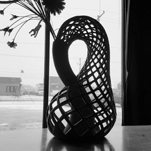 Klein vase jardin fleur bouteille Mobius 3d print model - Mito3D