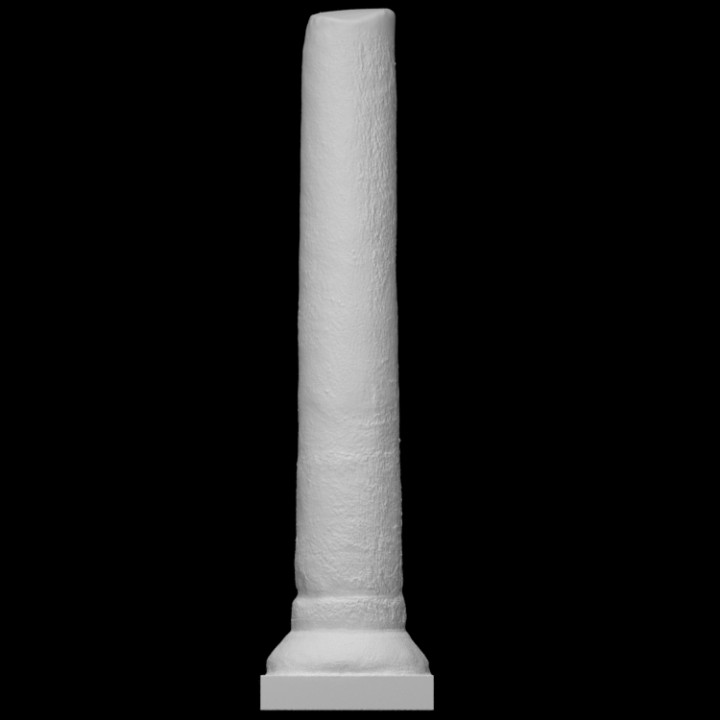 column scan 3D print model - Mito3D