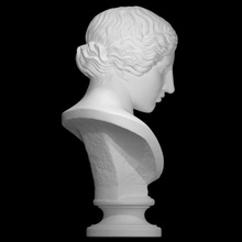 testa statua amazon scansione fallimento femmina scultura gesso polykleitos 3d print model - Mito3D