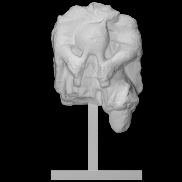 torso gaitero escanear 3D print model - Mito3D