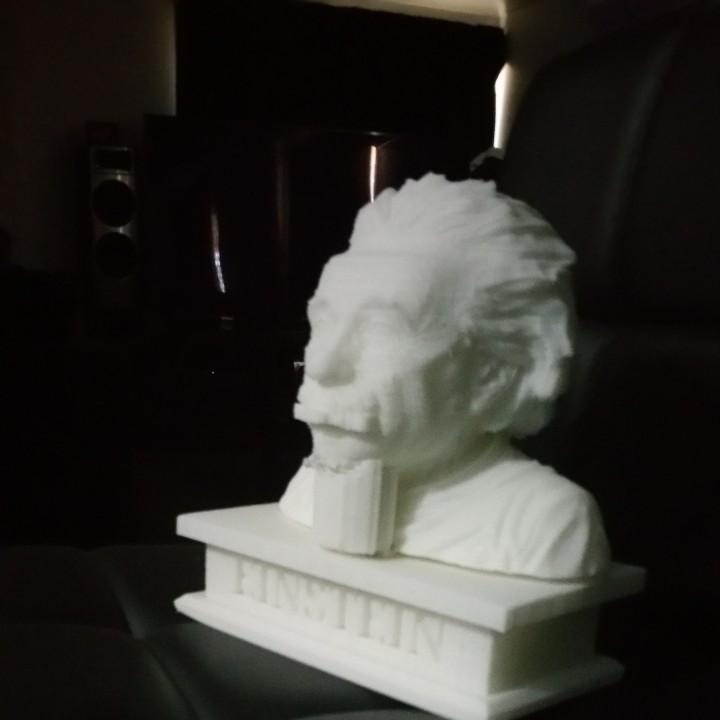 Einstein Excelente ventilador Arte busto 3D print model - Mito3D