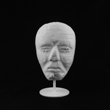 head usa norwich uea scansione 3d print model - Mito3D