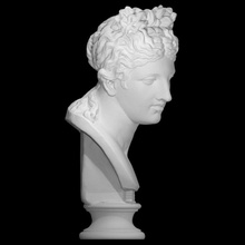 bust woman scan goddess head portrait sculpture plaster 3d print model - Mito3D