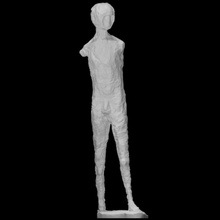 birdman scansione uomo fullbody 3d print model - Mito3D