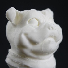 pug & garden bust dog mascot 3d print model - Mito3D