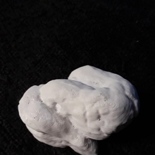 40 mya Koprolith versteinert Schildkröte Kot Scan uralt Kunst Fossil Poop 3d print model - Mito3D