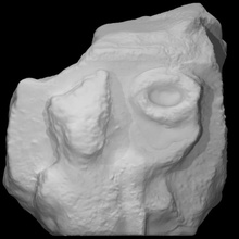 Roca escanear 3d print model - Mito3D