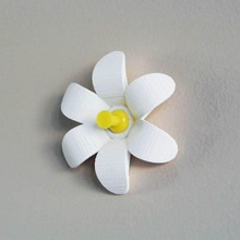 flower pushpin & garden 3d print model - Mito3D