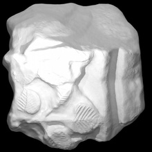 Roca escanear 3d print model - Mito3D