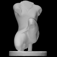 torso amazzone scan 3d print model - Mito3D