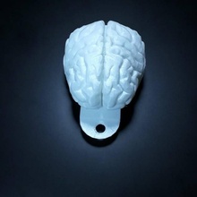 brain keychain fashion & accessories 3d print model - Mito3D