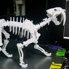 saber-toothed cat toys & games 3d print model - Mito3D
