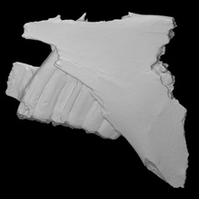 equus lambei mandíbula escanear caballo arqueología fragmento 3d print model - Mito3D