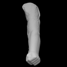 colossal arm scan halfbody 3d print model - Mito3D