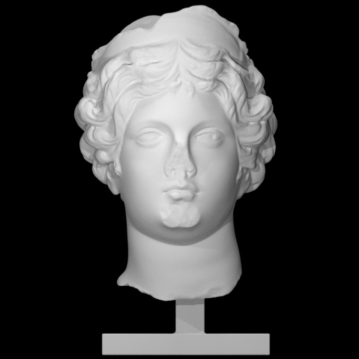 head venus scan portrait woman 3D print model - Mito3D