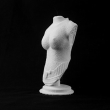 weiblicher torso uea norwich scan 3d print model - Mito3D