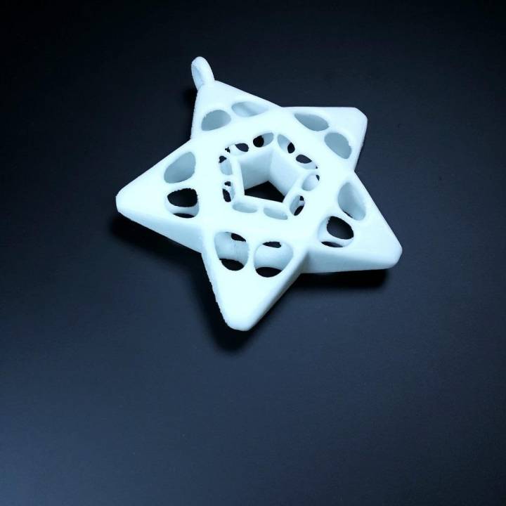 estrella belen jardín Navidad myminifactory voronoi navidad vectario m joyería decoraciones 3D print model - Mito3D