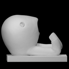 embryo scan abstract 3d print model - Mito3D