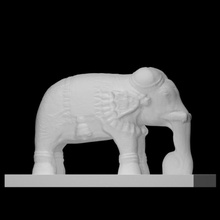 elefante scansione animali 3d print model - Mito3D