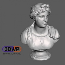 bust young simone bianco scan head portrait roman sculpture statue 3d print model - Mito3D