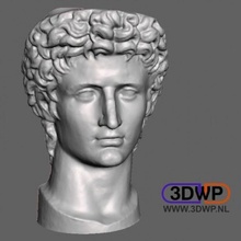 head augustus scan halfbody 3d print model - Mito3D
