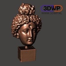 head buddha met scan halfbody 3d print model - Mito3D