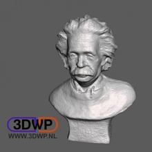 Einstein taramak baş yarım beden 3d print model - Mito3D