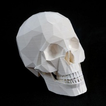 skull jaw education 3d print model - Mito3D