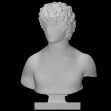 bust young man scan portrait 3d print model - Mito3D