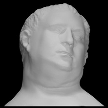 vitellius scan head man portrait 3d print model - Mito3D