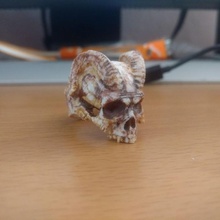 anillo cuernos carnero gioielleria cranio craneo 3d print model - Mito3D