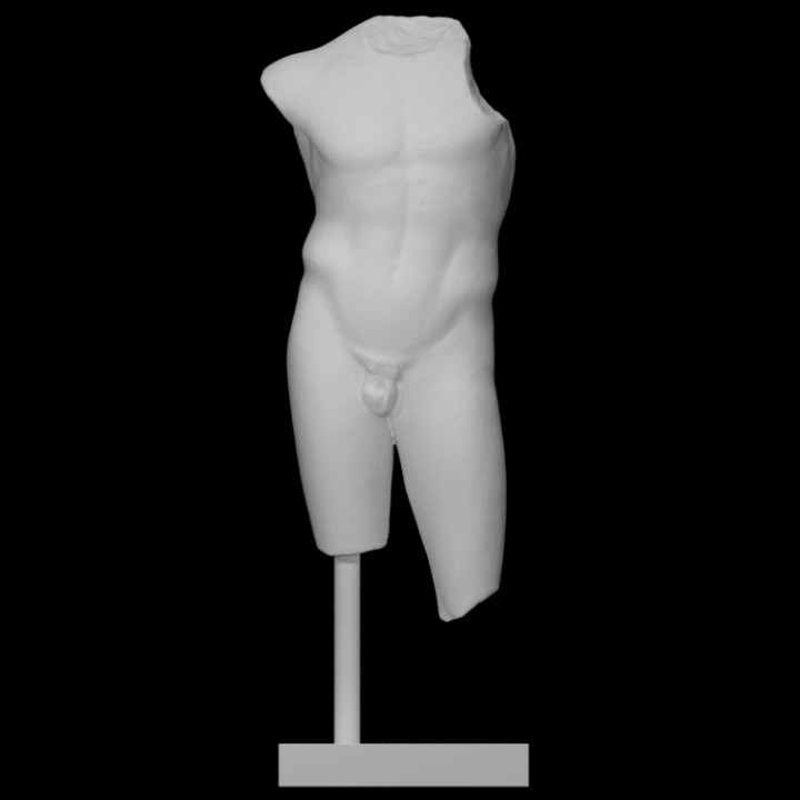 torso scan 3D print model - Mito3D