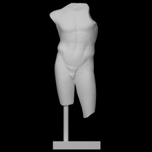 torso scan 3d print model - Mito3D