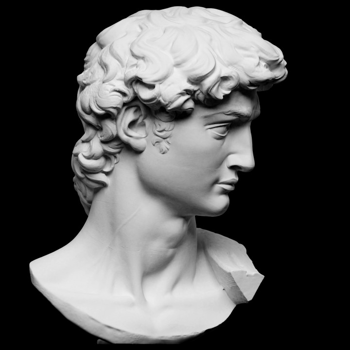 head michelangelo's david scan 3d sculpture renaissance michelangelo plaster cast artec 3D print model - Mito3D