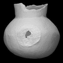 bottle scan pot vase richardslanding 3d print model - Mito3D