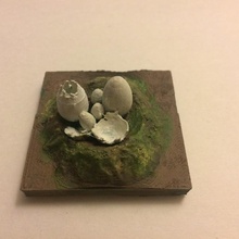 miniature hatched nest egg tabletop dungeons eggs fantasy rpg skeleton terrain dungeonsanddragons dungeon pathfinder 3d print model - Mito3D