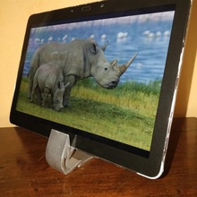 rinoceronte phone tábua ficar pé aparelhos eletrônicos escova cabeça pintura mesa exótico estande telefone Vinci desafio design exoticspecies 3d print model - Mito3D